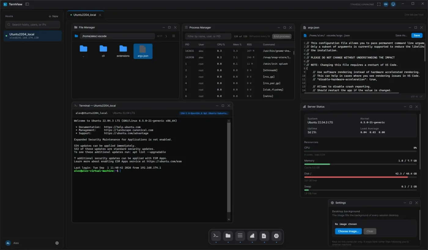TermView desktop workspace showing the terminal, file manager, process manager, text editor, and server status
